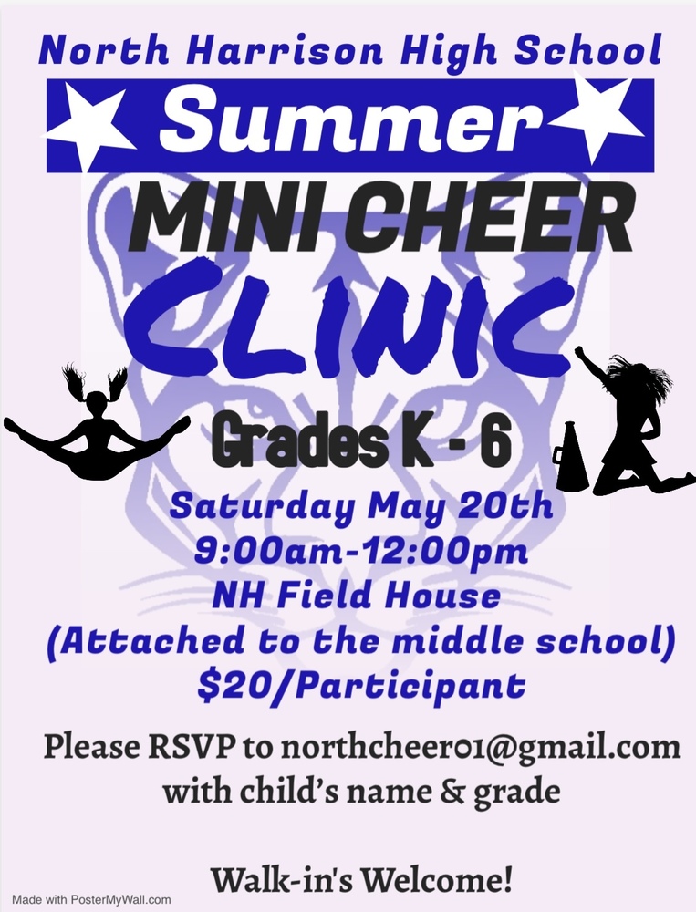 Summer Cheer Clinic